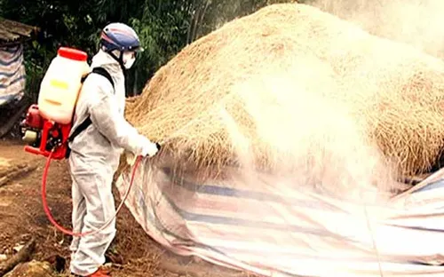 Tạm dừng nhập khẩu gia cầm qua các cửa khẩu      