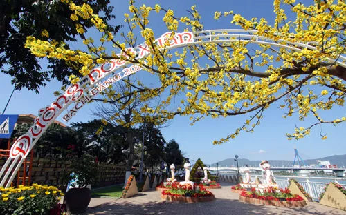 Khai hội Đường hoa xuân Bạch Đằng