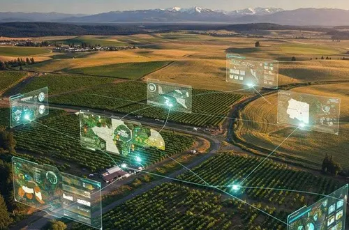 Vĩnh Long: "Siết" kỷ cương dữ liệu nông nghiệp – Khi tuân thủ là tấm vé thông hành cho doanh nghiệp địa phương