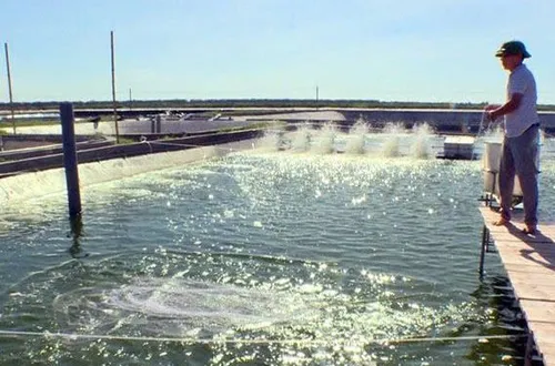 Hà Nội siết phối hợp quản lý đê điều, thủy lợi