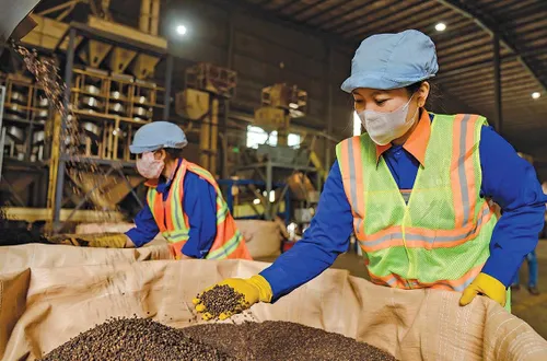 Doanh nghiệp xoay xở trước áp lực chi phí leo thang