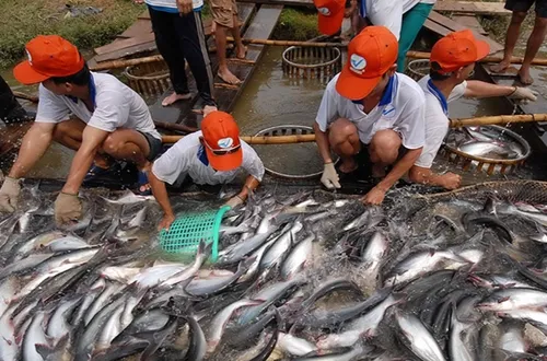 Để doanh nghiệp Đồng bằng sông Cửu Long vượt khó trước áp lực bủa vây