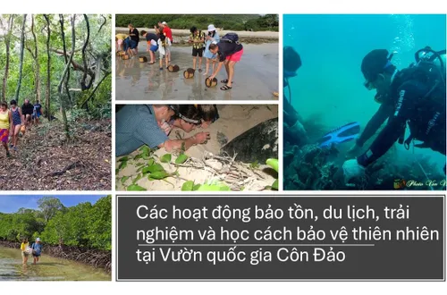 Lời nhắn từ rừng già và bài toán kinh tế trách nhiệm