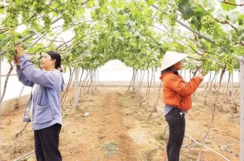 Hành trình của sự chuyển mình