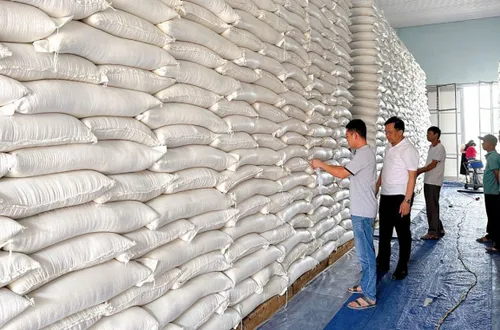 TP.Hồ Chí Minh ứng phó với biến động cung cầu gạo do xung đột địa chính trị, xăng dầu