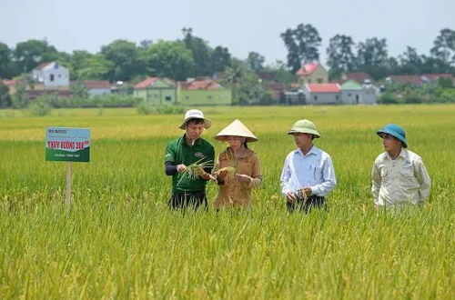 Nông nghiệp Việt trong kỷ nguyên xanh: Tạo sức bật từ chính sách công