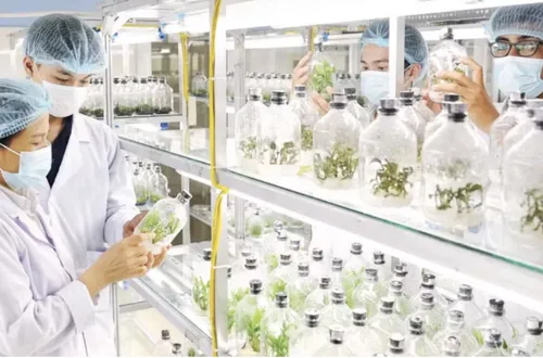 Định hình tương lai nhân lực công nghệ sinh học