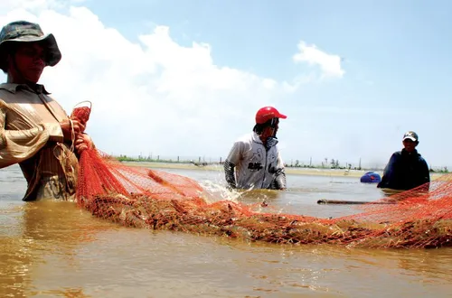 Triển vọng nào cho xuất khẩu dệt may và thủy sản?