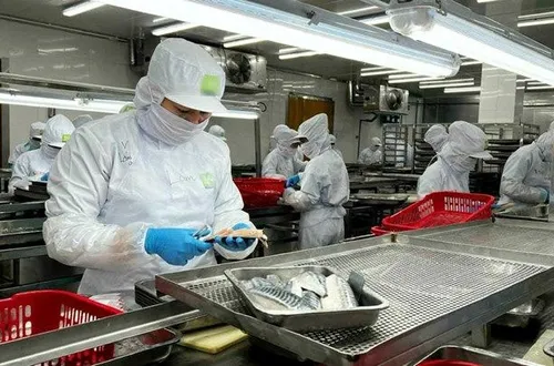 Doanh nghiệp cắt giảm chi phí nhờ AI
