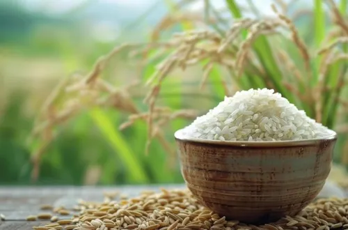 Bản tin nông sản hôm nay (11-5): Giá cà phê và hồ tiêu cùng tăng