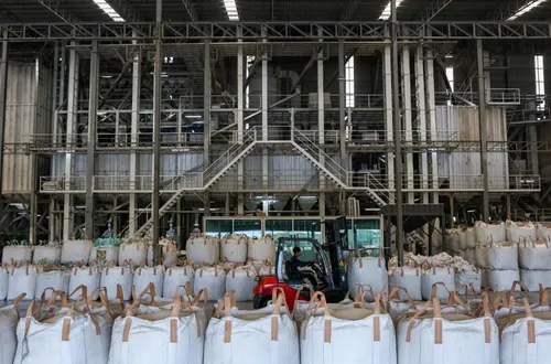 Thị trường gạo quốc tế nóng trở lại