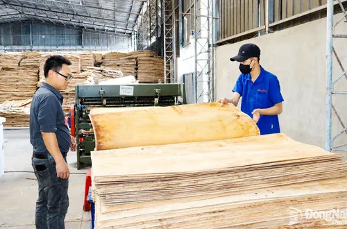 Khai thác cơ hội phát triển vật liệu gỗ kỹ thuật cho xây dựng xanh