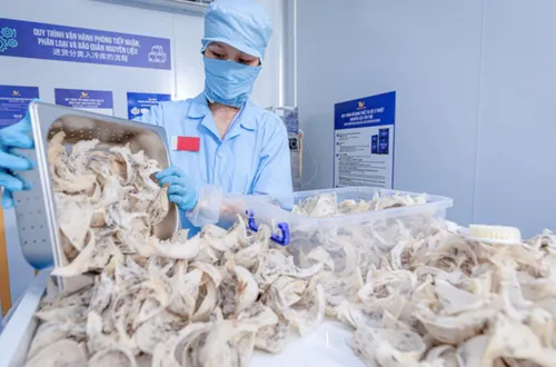 Cục Xuất nhập khẩu lưu ý thay đổi quan trọng với hàng thực phẩm vào Trung Quốc từ 1-6