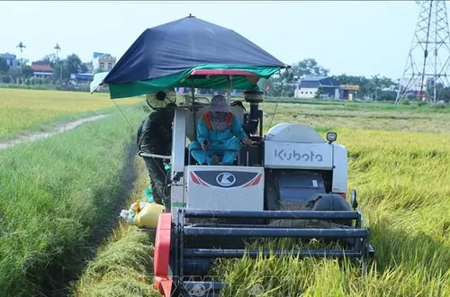 Nông dân nâng tầm, nông nghiệp nâng chất
