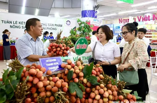 Dự kiến 700 - 1.000 doanh nghiệp tham gia Tháng khuyến mại Hải Phòng