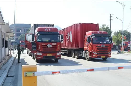 Danh mục 12 nhóm hàng hóa phải làm thủ tục hải quan tại cửa khẩu nhập