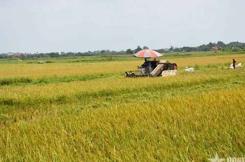 Giảm phát thải khí nhà kính trong nông nghiệp
