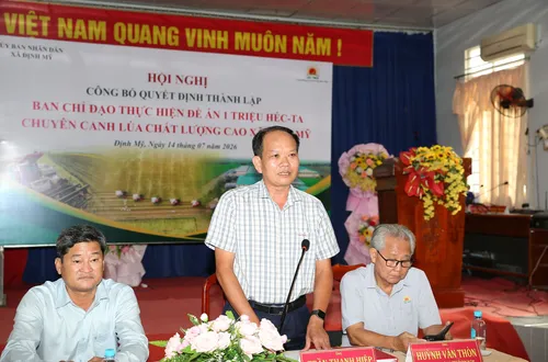 Đề án 1 triệu ha lúa: Khi chính quyền cấp xã trở thành 'nhạc trưởng' trên cánh đồng