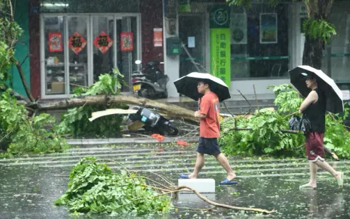 Siêu bão Yagi ở Trung Quốc: Các tỉnh miền Nam hứng mưa rất lớn trong 3 ngày tới