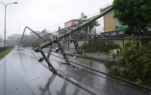 Mưa lớn, gió mạnh ở Thái Bình khiến nhiều cây ngã đổ, 20.000 ha lúa bị thiệt hại