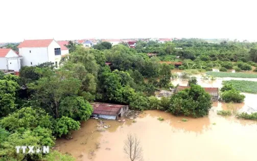 Hưng Yên phát lệnh báo động 2 trên tuyến đê tả sông Hồng