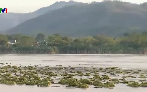 Phú Thọ: Hơn 2000 cây trồng bị hư hại, 35 ha đã bị cuốn trôi