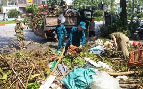 Hà Nội: Hoàn thành thu dọn cây xanh gãy, đổ ở các quận nội thành trước 20/9