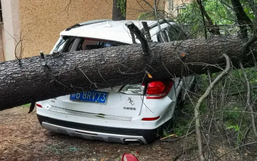 Trung Quốc khắc phục hậu quả siêu bão Bebinca tại Thượng Hải