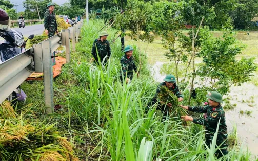 Chính phủ ban hành 6 nhóm nhiệm vụ, giải pháp trọng tâm khắc phục hậu quả bão số 3, khôi phục sản xuất kinh doanh