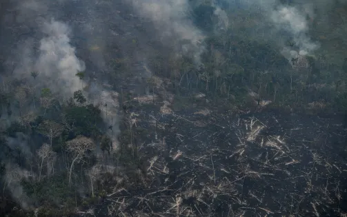 Peru ban bố tình trạng khẩn cấp do cháy rừng hoành hành