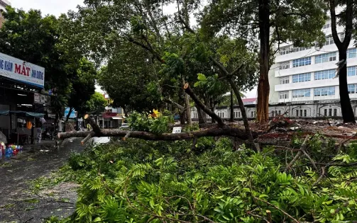 Quảng Bình lên các phương án ứng phó trong mùa mưa bão