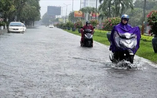 Các tỉnh, thành phố Bắc Trung Bộ chủ động ứng phó với vùng áp thấp