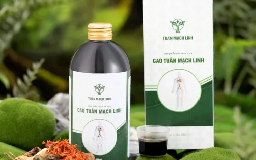 Liệu pháp hỗ trợ phục hồi tĩnh mạch từ thảo dược tự nhiên