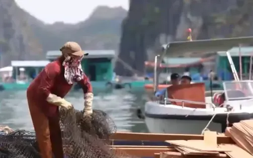 Cuộc sống dần trở lại bình thường sau bão ở Cát Bà