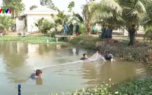 Bộ đội hậu cần phát huy sáng tạo trong sản xuất