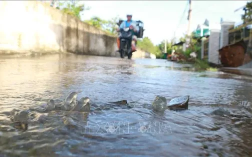 Đẩy mạnh ứng phó ngập lụt trước đợt triều cường cao