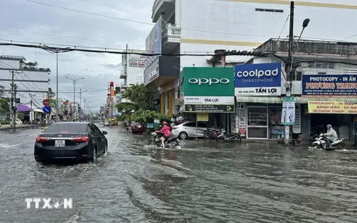 Cà Mau: Sẽ xuất hiện 3 đợt triều cường dâng cao vào 3 tháng cuối năm 2024