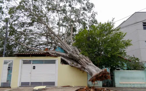 Mưa lớn tàn phá Brazil sau thời gian dài hạn hán, ít nhất 8 người thiệt mạng