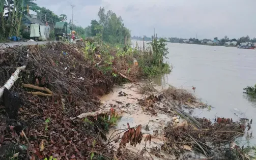 An Giang: Sạt lờ bờ sông Hậu do mưa lũ