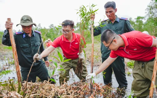 Dự án trồng 1 tỷ cây xanh góp phần ứng phó biến đổi khí hậu