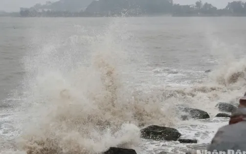 Từ Quảng Ninh đến Kiên Giang chủ động ứng phó với gió mạnh, sóng lớn trên biển