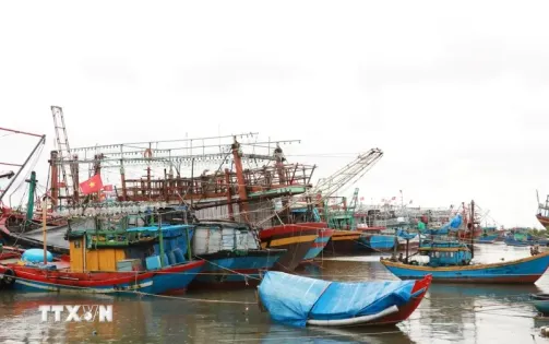 Nghệ An: Chủ động các phương án đảm bảo an toàn ứng phó bão Trami