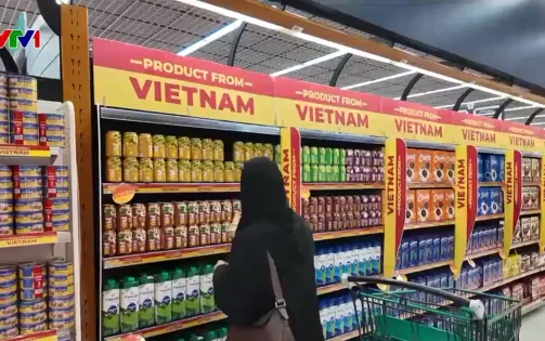 Cơ hội mới thúc đẩy Việt Nam tại vùng Vịnh