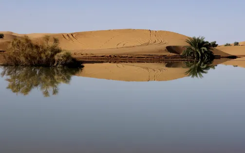 Lũ lụt hiếm thấy ở sa mạc Sahara