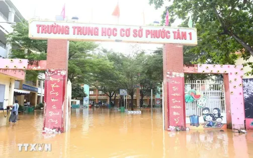 Đồng Nai: Vệ sinh trường lớp, đón học sinh trở lại khi nước lũ rút