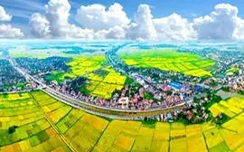 Kiện toàn phân công các Phó Thủ tướng Chính phủ làm Chủ tịch các Hội đồng điều phối vùng