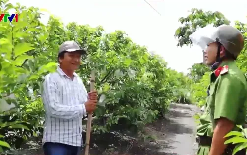 Gia tăng các vụ hái trộm mãng cầu ở Tây Ninh