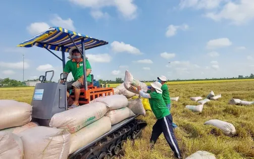 "Bơm vốn" cho vựa nông sản Đồng bằng sông Cửu Long