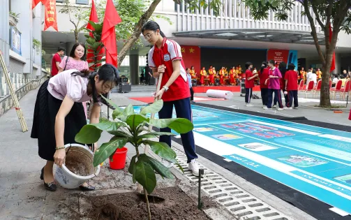 Trồng cây bàng vuông để thêm yêu biển đảo quê hương