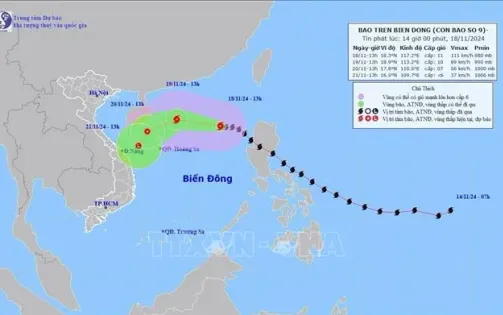 Ứng phó bão số 9: Quảng Ninh đến Bình Thuận theo dõi chặt chẽ diễn biến bão